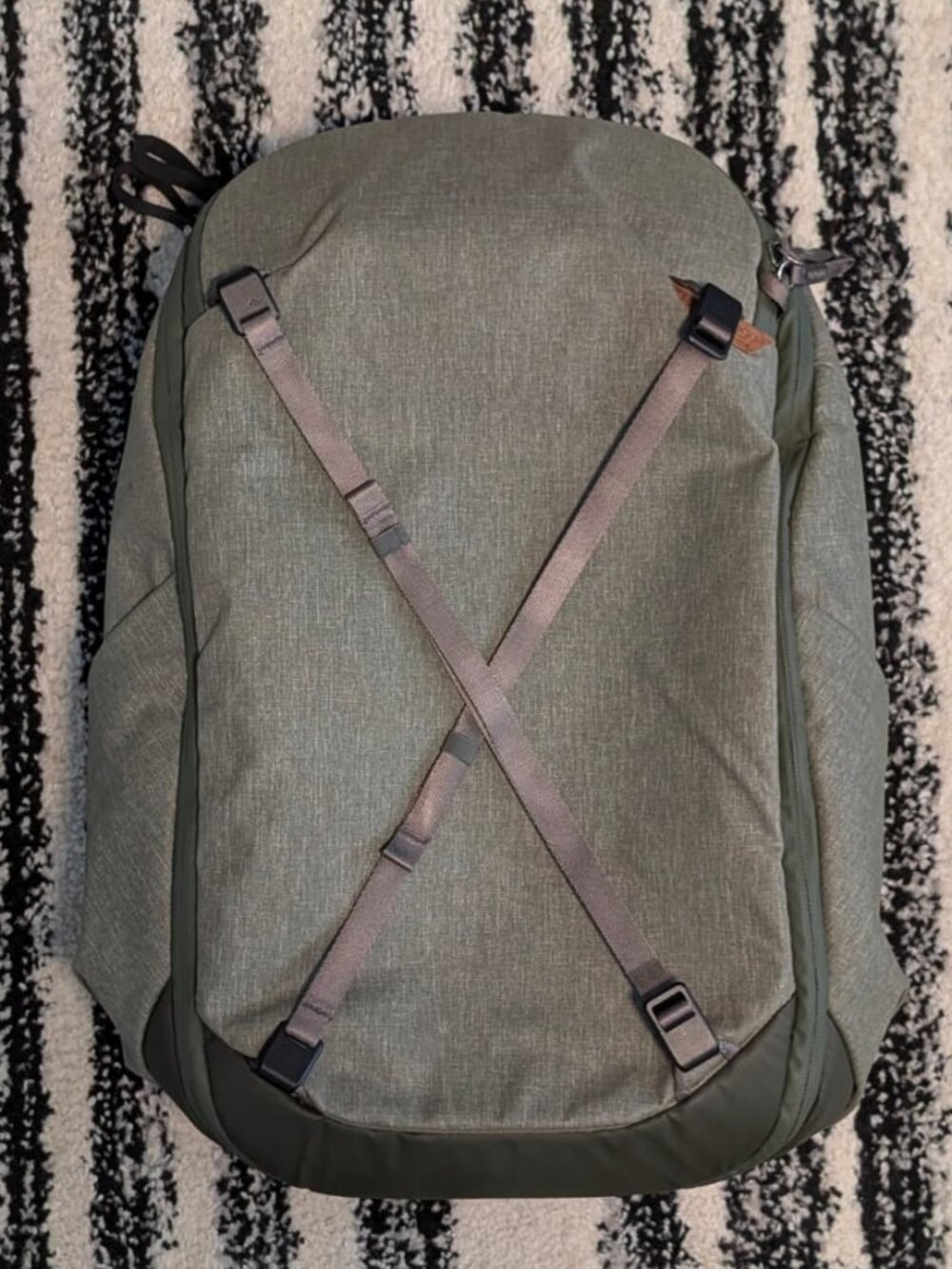 Peak Design Travel Backpack 30L Color Sage (Compressed: 27L - Expandable: 33L)